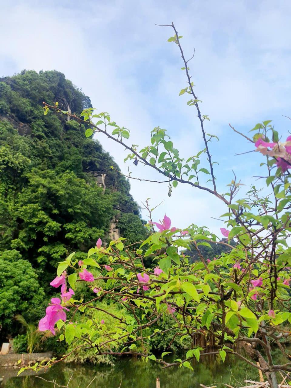Trang An Hana Homestay Nguyen Ngoai Екстериор снимка