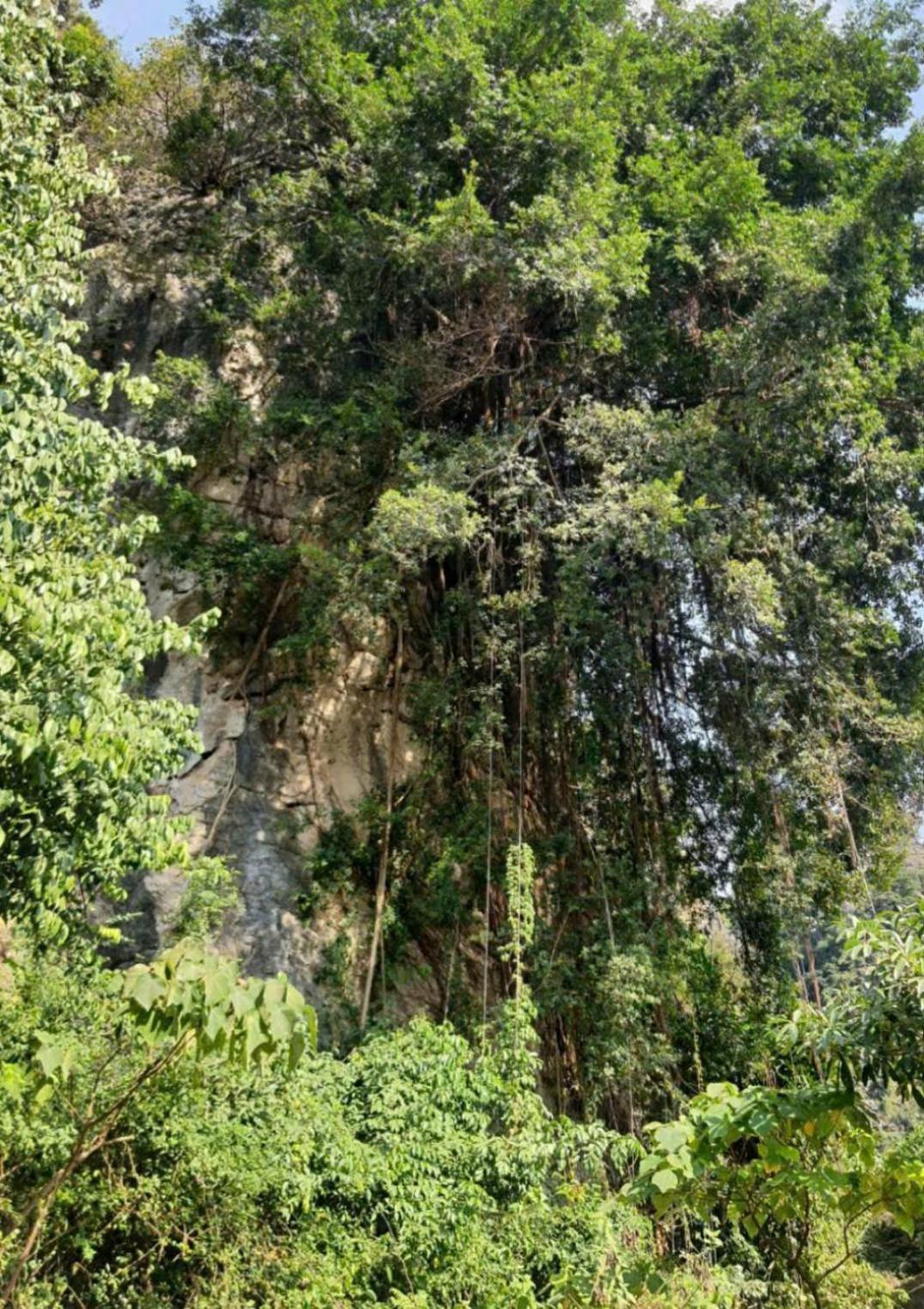 Trang An Hana Homestay Nguyen Ngoai Екстериор снимка