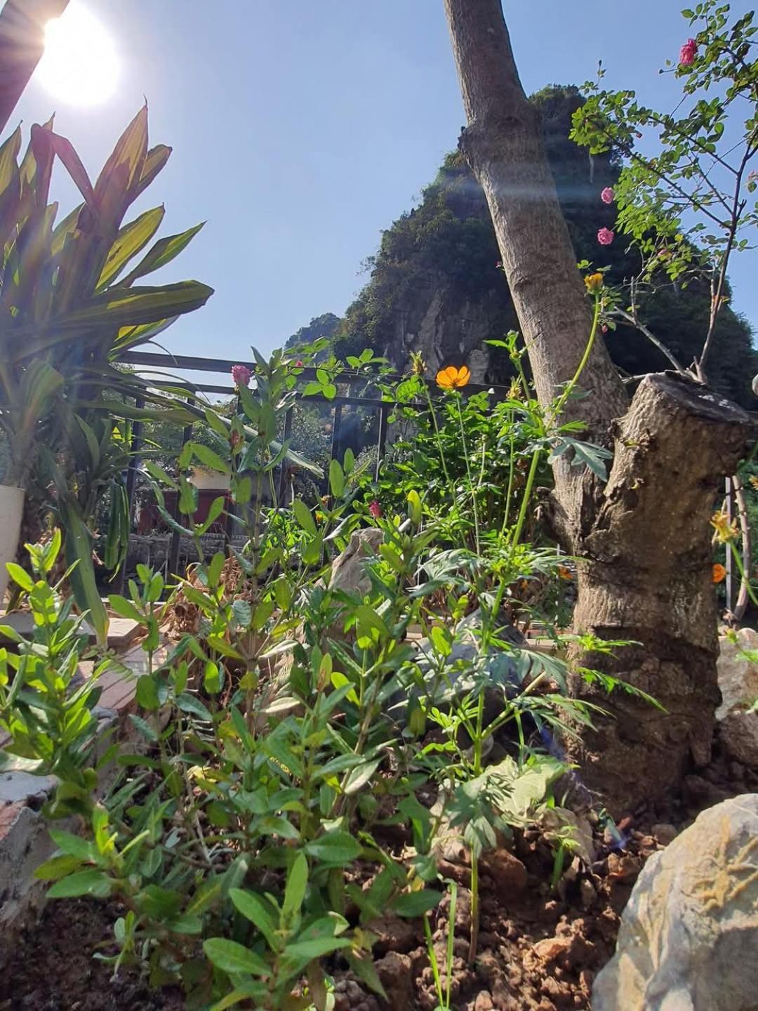 Trang An Hana Homestay Nguyen Ngoai Екстериор снимка